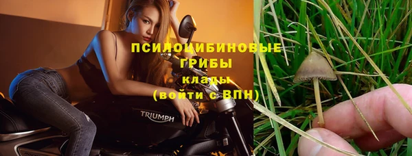 MESCALINE Арсеньев